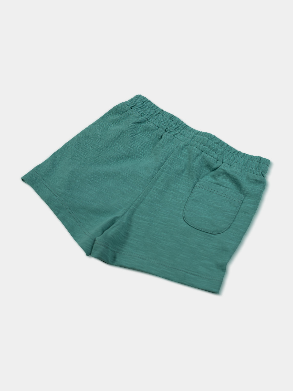 Evergreen Explorer Shorts
